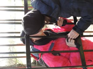 The Kissing gate