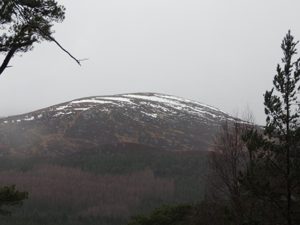 Some great views of the snowy mountains. Pity it was raining so we couldn't get more pics.