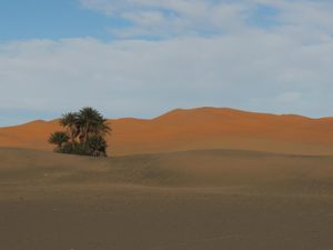 Within the Sahara. Golden dunes everywhere you looked