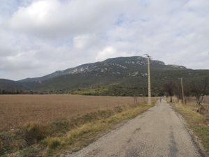 The road back through the farms on the other side of the mountain (in front).