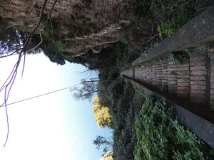 A small portion of the 500 steps  we had to take down
