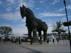 The horse that was used in the movie Troy