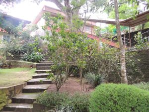 Path to the staff area