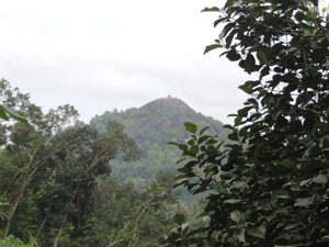 The distant temple we visited