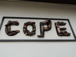 The COPE center provides prosthetics for the Laos people