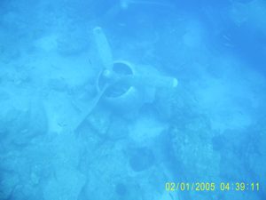 The plane wreck